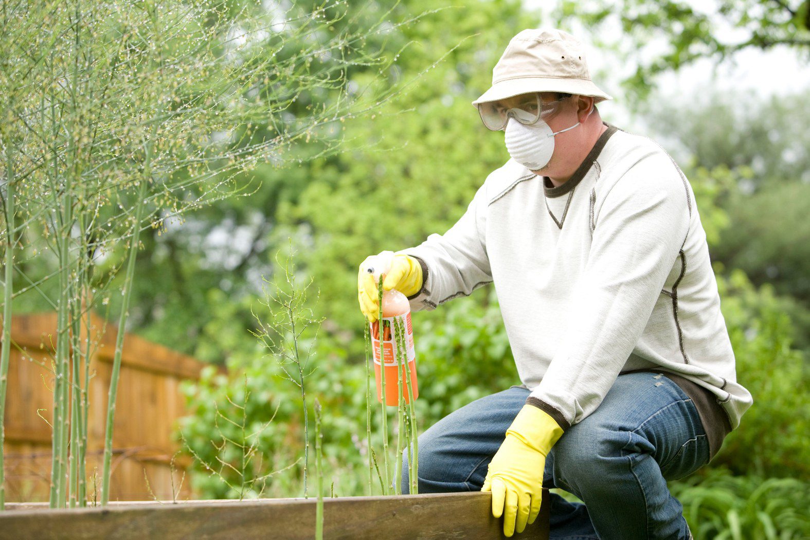 image of a man spraying plants symbolizing the importance of a pest control answering service